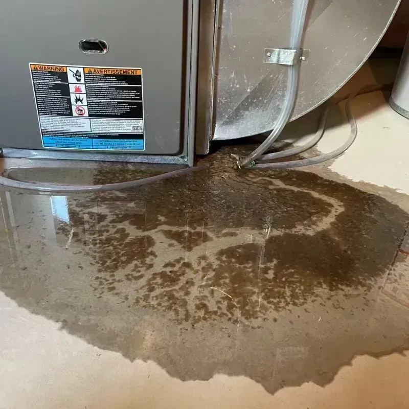 Appliance Leak Cleanup in Crestwood, MO